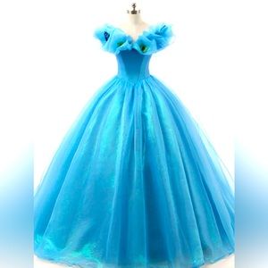 Blue Sweet 16/Quince Gown
